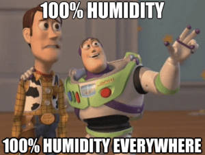 Day 12 January 12, 2025