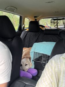 Day 14 January 14, 2025