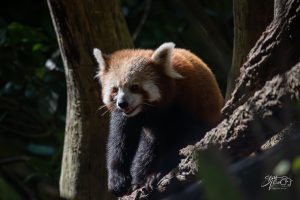 Day 24 January 25, 2025