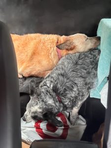 Day 27 January 28, 2025