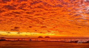 Chasing the Light: Why the Best Shots Happen Before Most People Wake Up