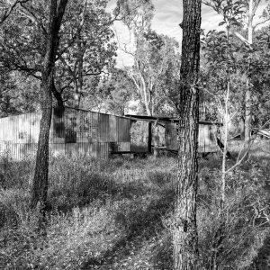 Black and white photograph of an abandoned corrugated iron building surrounded by bushland at Chillagoe, Queensland.