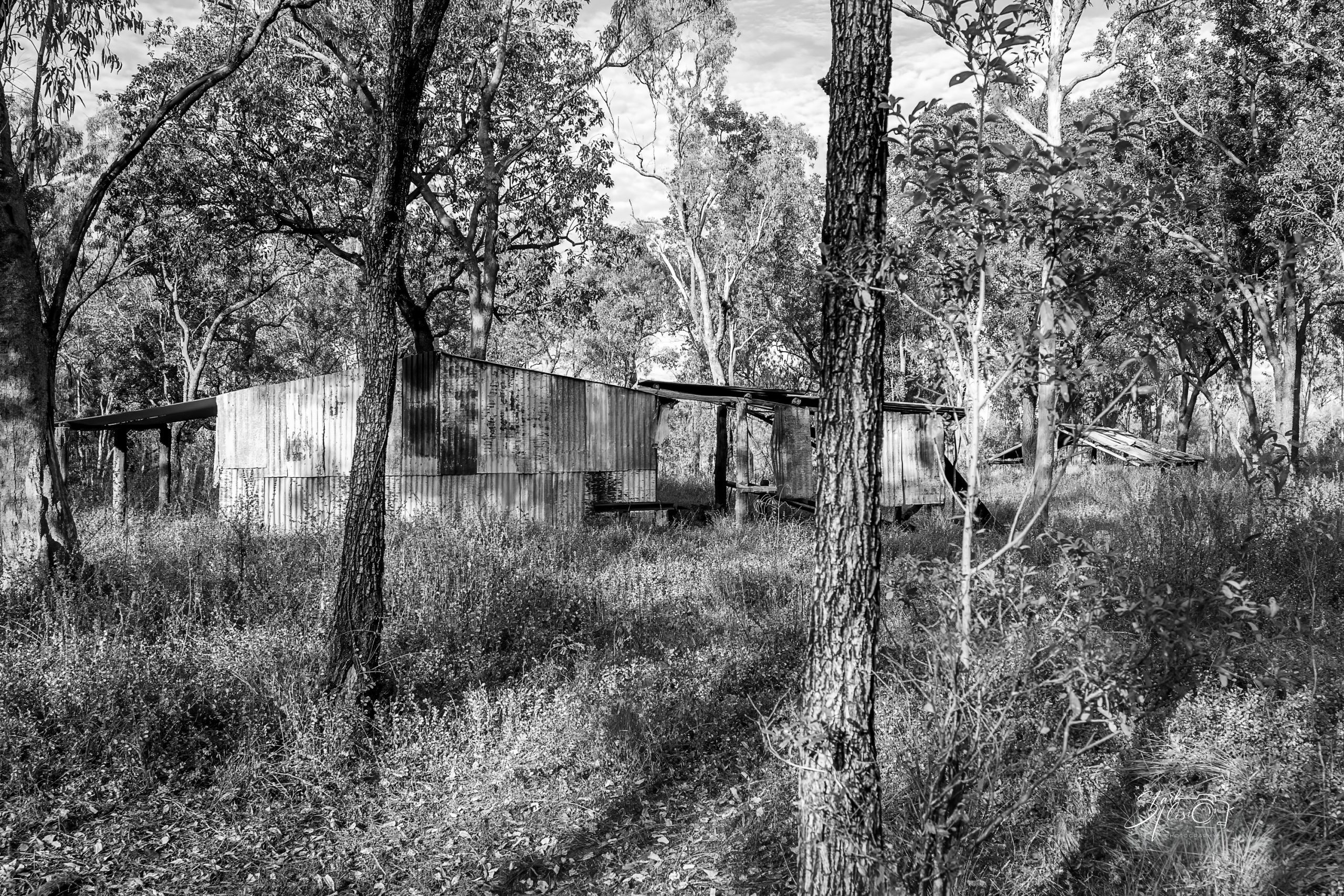 Black and white photograph of an abandoned corrugated iron building surrounded by bushland at Chillagoe, Queensland.