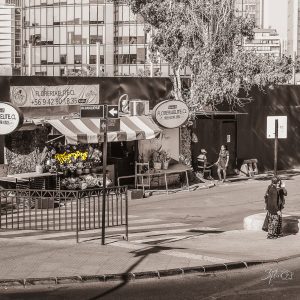 Street scene in Santiago featuring a roadside flower stall with bright yellow flowers contrasted against a muted city background.