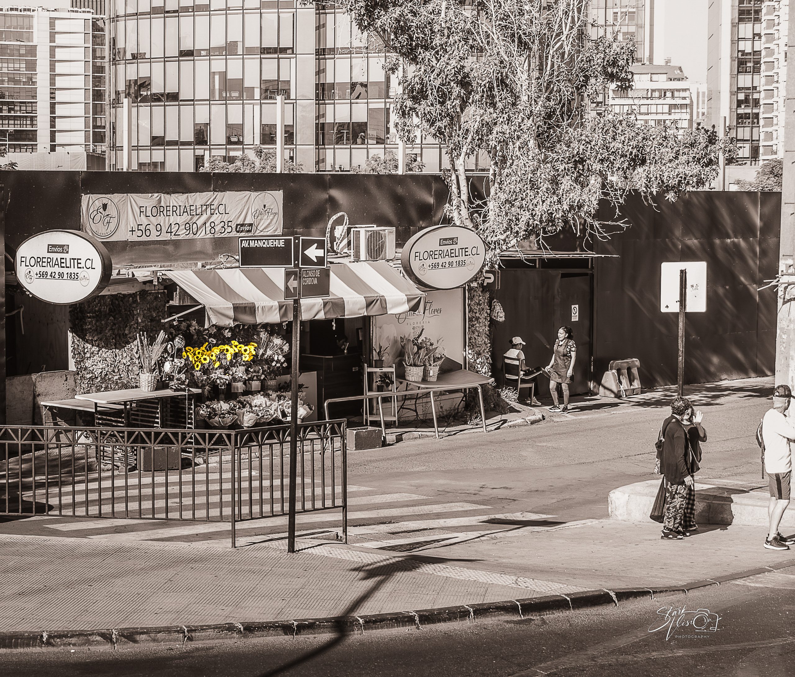 Street scene in Santiago featuring a roadside flower stall with bright yellow flowers contrasted against a muted city background.